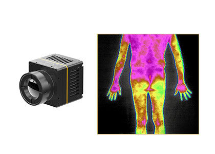 Não módulo Uncooled 384x288 17μM da imagiologia térmica do Thermography do contato