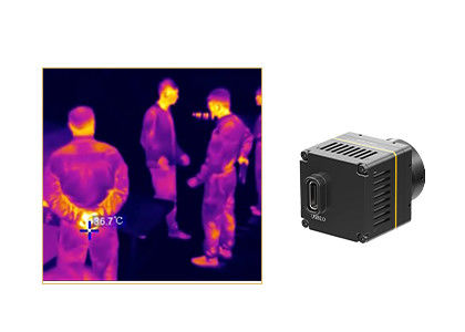 384x288 Uncooled 17μM Thermal Imaging Camera para aplicações médicas