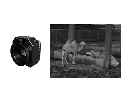 Modulo infravermelho não resfriado de câmara de segurança térmica de alta sensibilidade