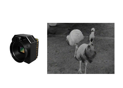 Modulo de câmara de segurança térmica infravermelha não resfriada com lentes múltiplas